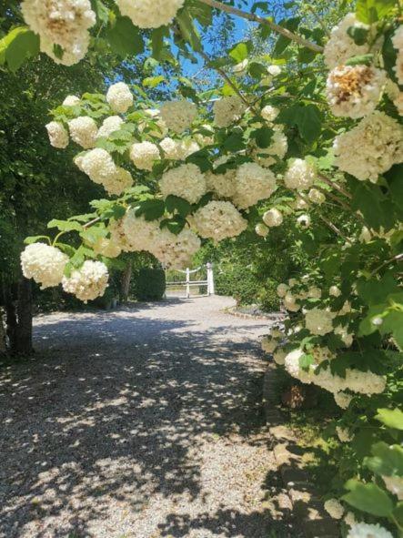 Le Clos De La Rose Gite Bien Etre Wirwignes Екстер'єр фото