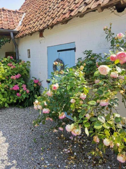 Le Clos De La Rose Gite Bien Etre Wirwignes Екстер'єр фото